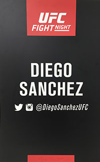 Diego Sanchez UFC